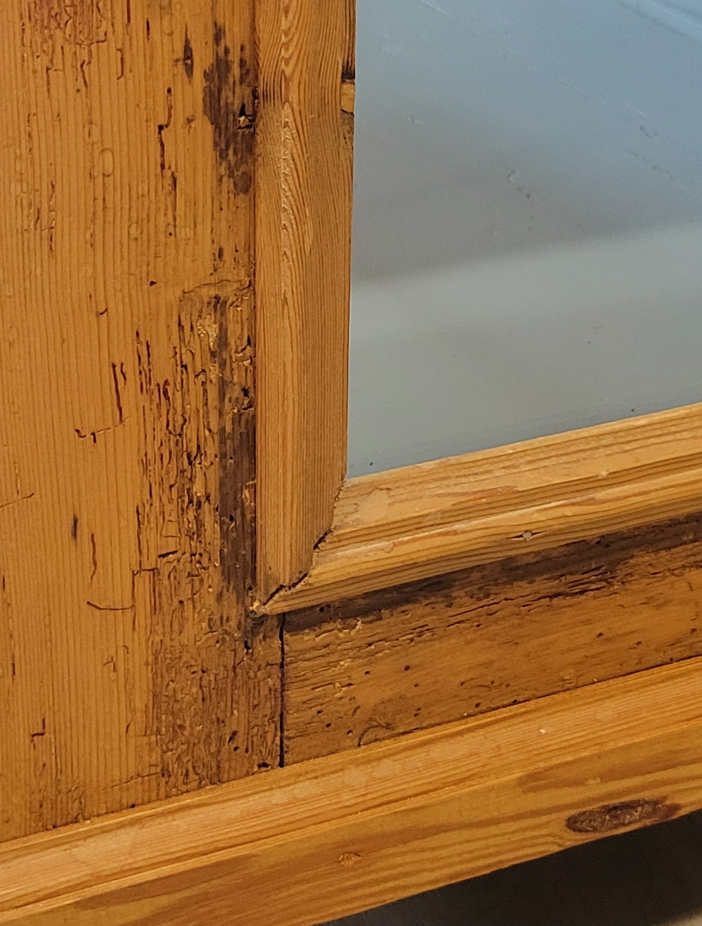 Antique German Pine Display Cabinet With Painted Blue Interior