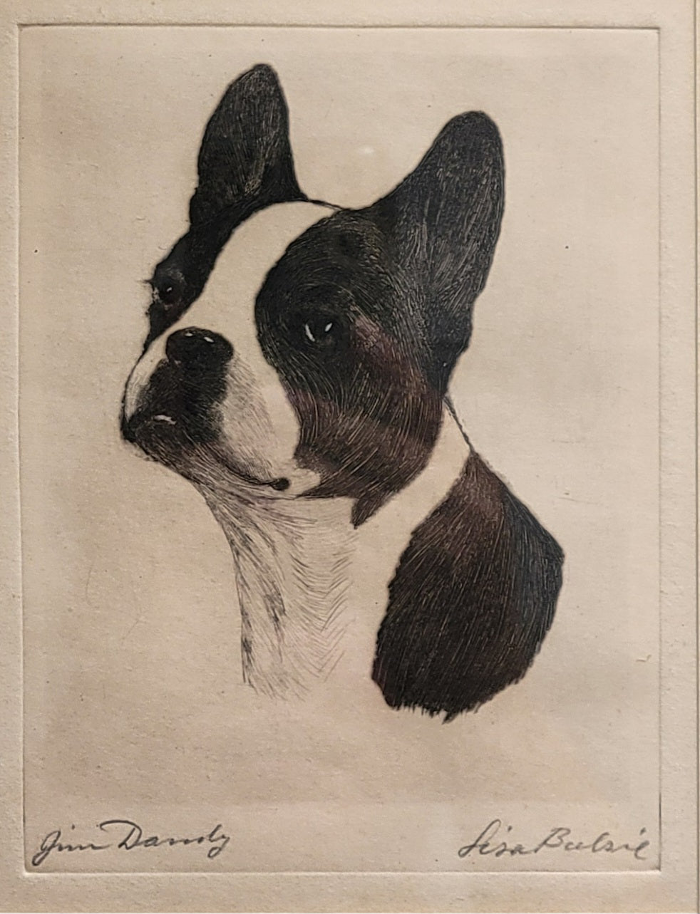 "Jim Dandy" Boston Terrier by Lisa Balsie - etching, early 20th century, USA