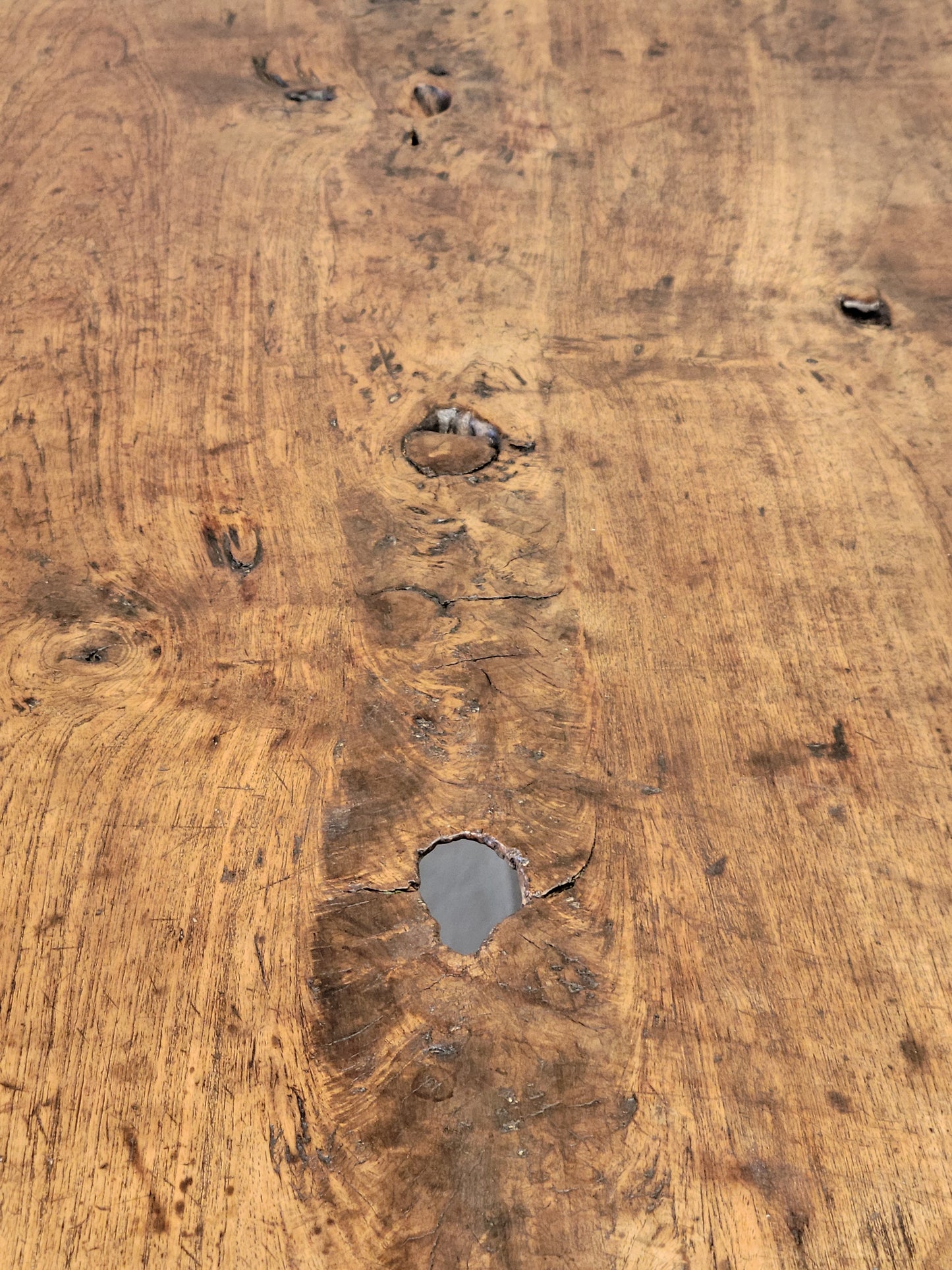 Vintage Rustic Single Slab Burl Teak Coffee Table by the Jason Scott Collection