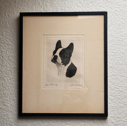 "Jim Dandy" Boston Terrier by Lisa Balsie - etching, early 20th century, USA