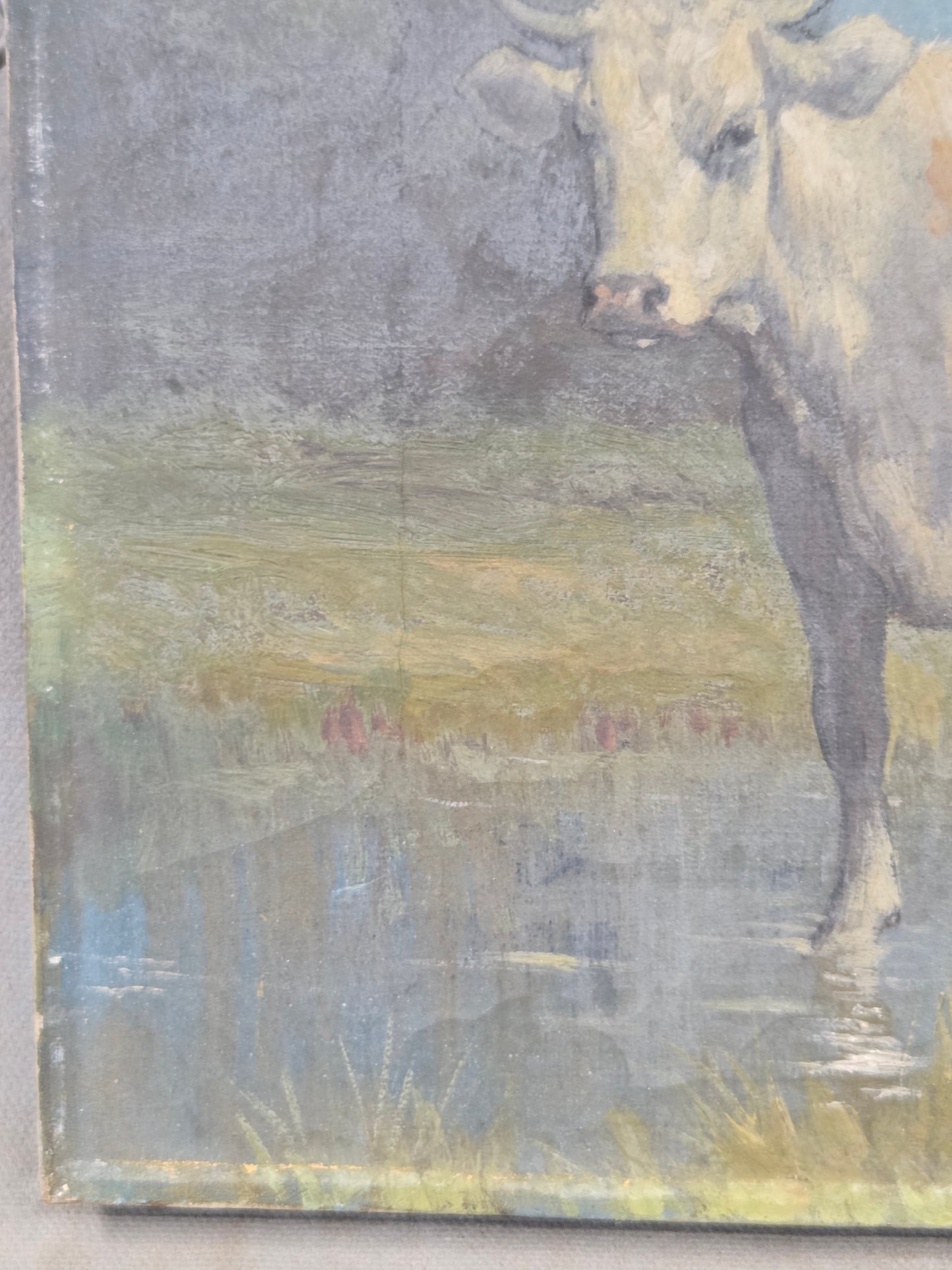 Robert Atkinson Fox (1860-1935), Cow in a Stream, Gouache on Canvas Painting