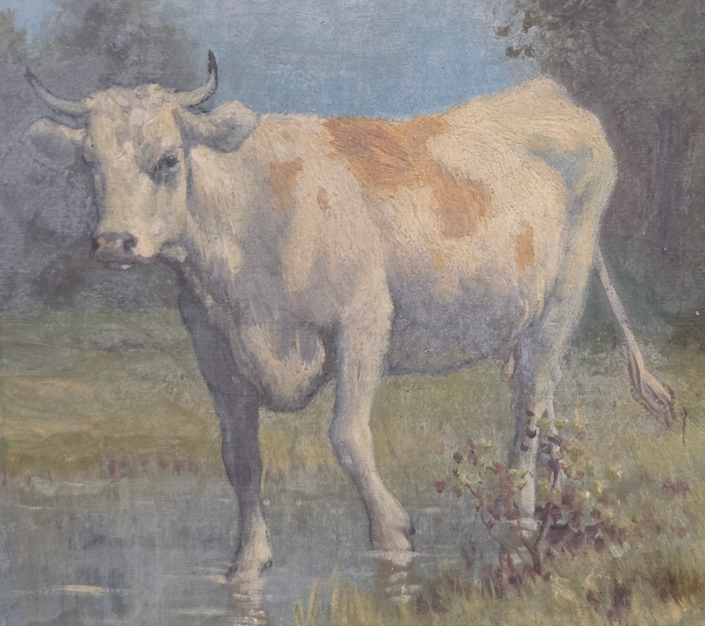 Robert Atkinson Fox (1860-1935), Cow in a Stream, Gouache on Canvas Painting