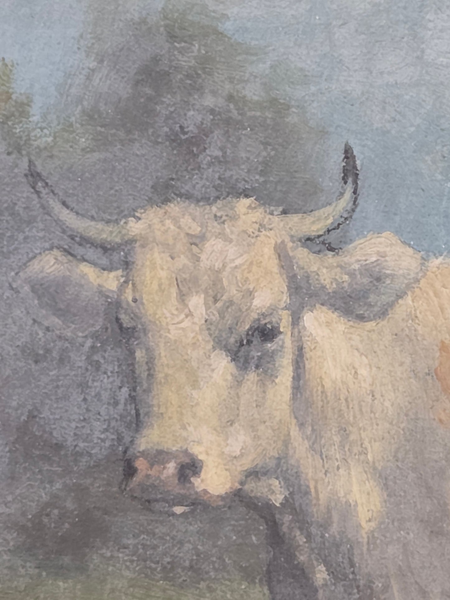 Robert Atkinson Fox (1860-1935), Cow in a Stream, Gouache on Canvas Painting