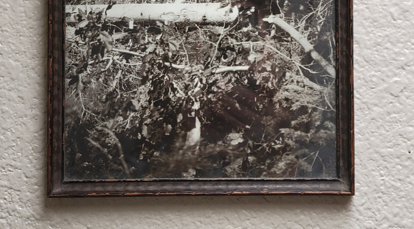 Antique Early 20th Century American Photograph of Woman Fishing