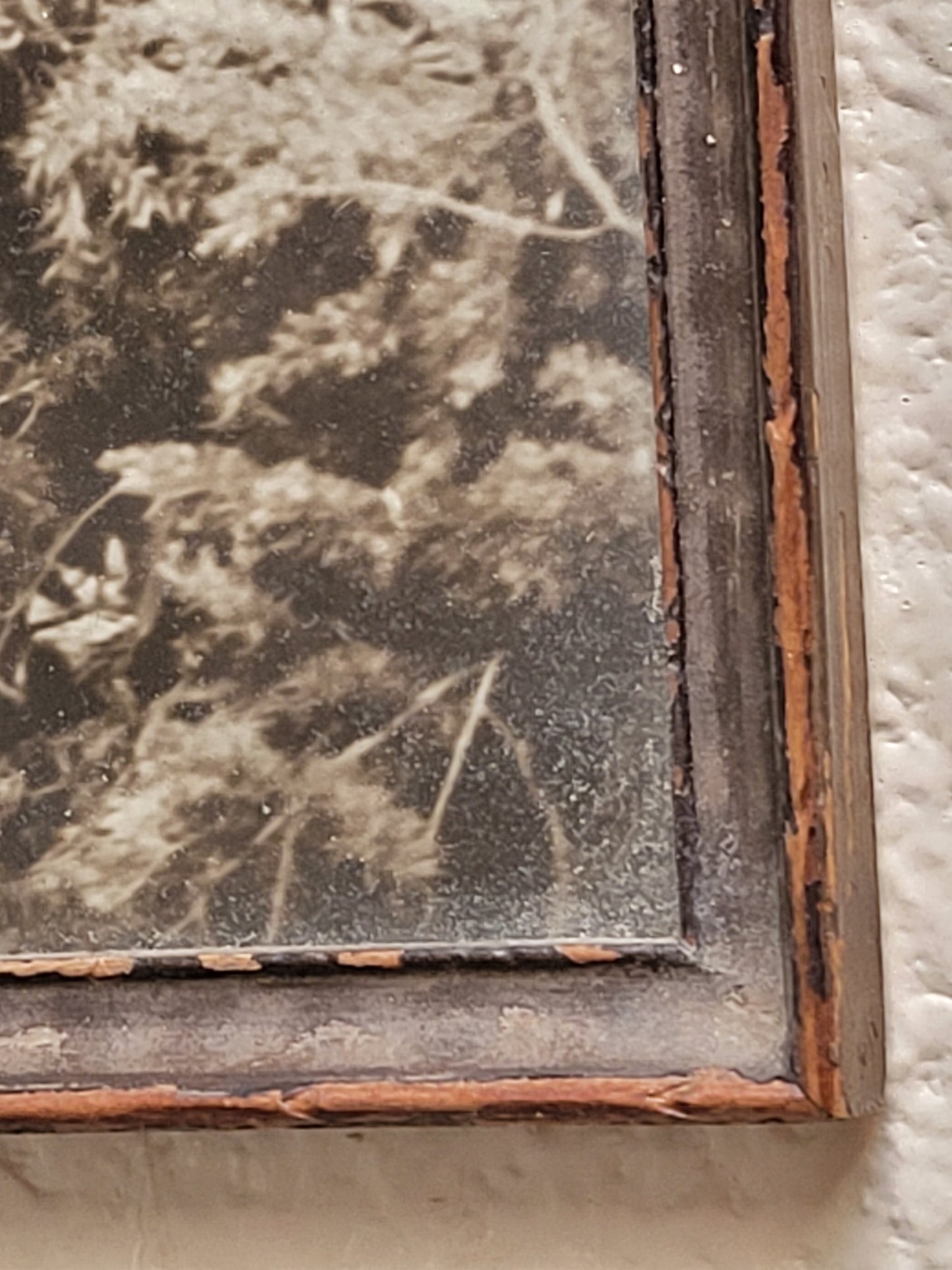 Antique Early 20th Century American Photograph of Woman Fishing